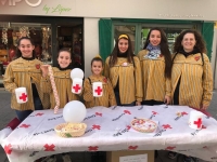 Día de la banderita
